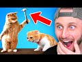 Worlds funniest animals