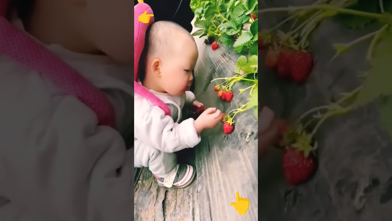 kids video