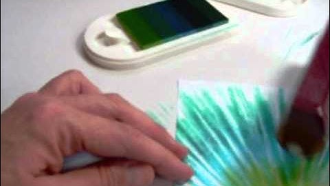 Bouncing Brayer Tutorial.wmv