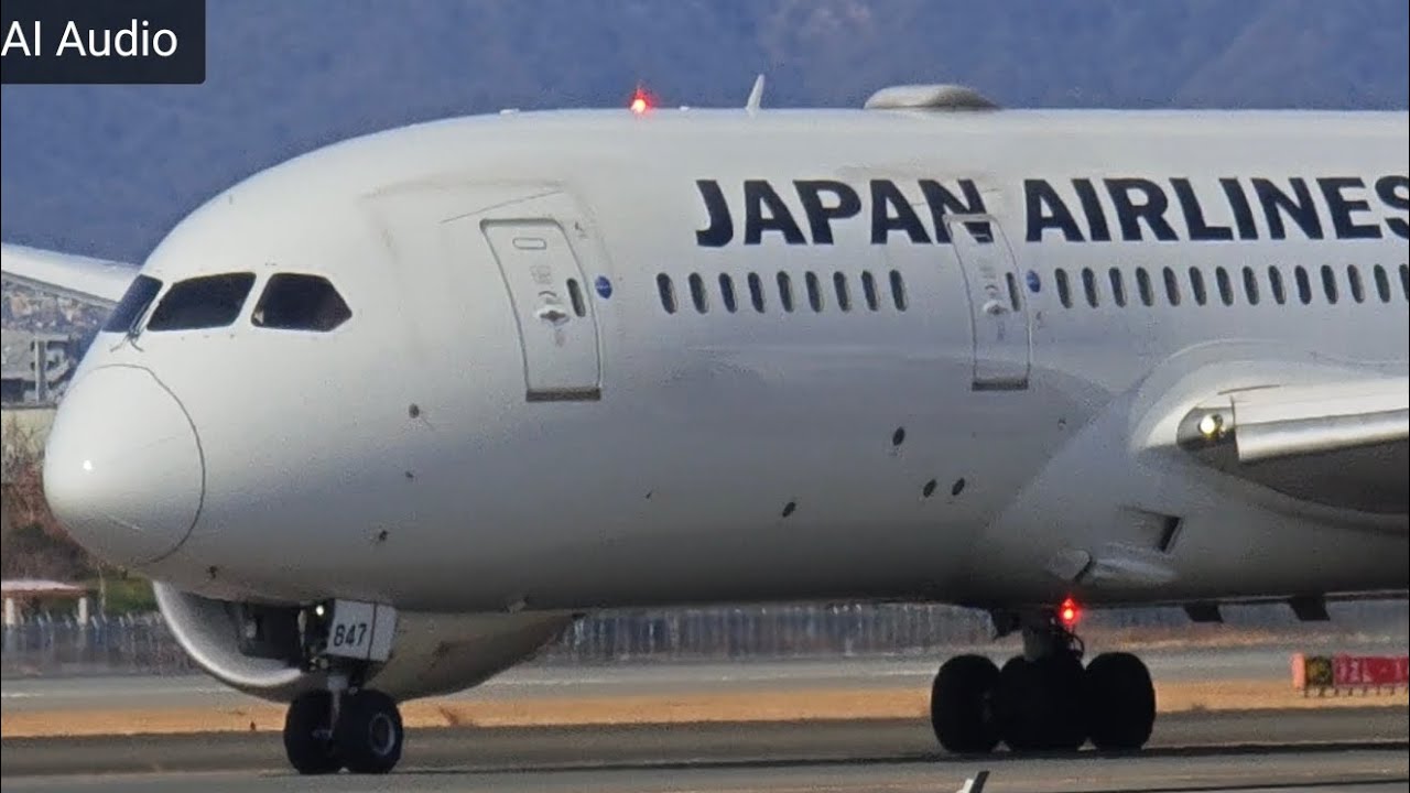 伊丹空港　飛行機