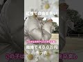 50代独身女の孤独なひとり飯⑧ #料理 #バツイチ #vlog#50代#離婚#アラフィフ#モスバーガー #ぼっち女#独身女#ひとり飯