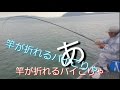 海釣り公園でサビキ釣り！常連さんにモンスター掛かるも…