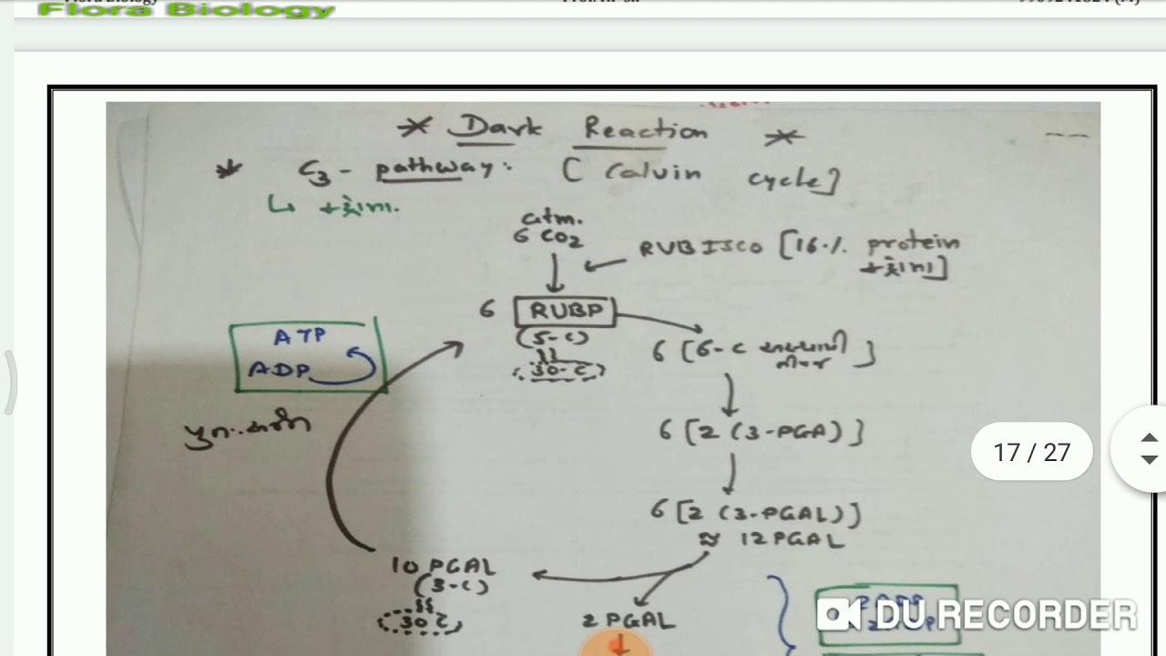 slack reactions slack reactions