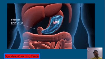 Std.10 Science ch.6 જૈવિક ક્રિયા L- 9 મનુષ્યનું પાચનતંત્ર