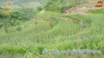 ما تيسر من سورة القصص.... أبو صهيب وائل الحسني وفقه الله