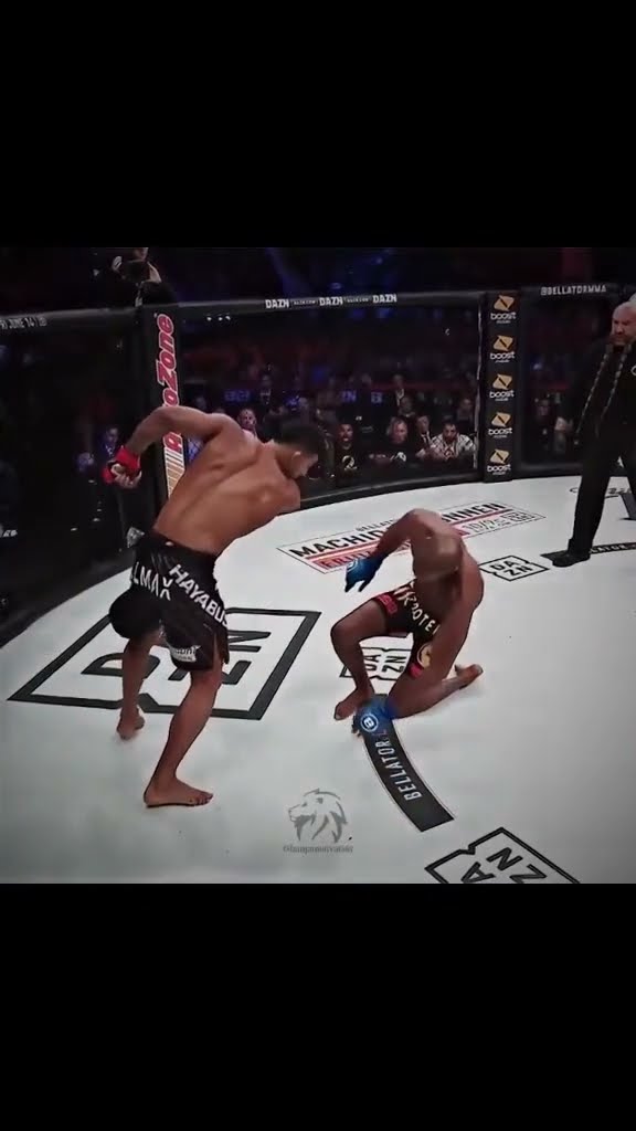 Good fight! Good fight! #ufc # MMA # Boxing #ko # Boxing Brutal ko Highlights # Funny # Fighting