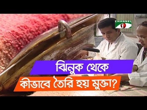 ভিডিও: কীভাবে ঝিনুক খুলবেন