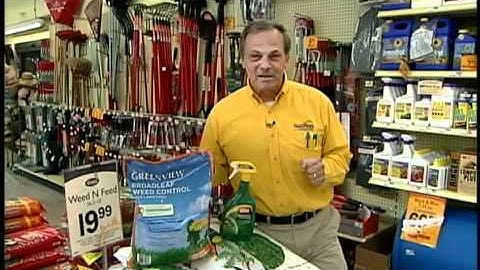 Garden Guy offers tips to get rid of dandelions