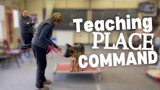 Teach your dog the PLACE command