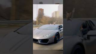 The keys to the Lamborghini have been acquired #guitar
