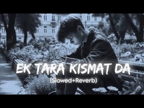 Ek Tara kismat da (slowed+Reverb) broken hindi night 🌃 song | Alone Lofi song