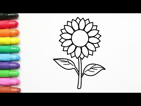 Video: Cara Menggambar Bunga Matahari