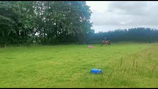 Ad ref 280743 Video 2