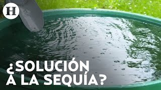 ¿Captación de agua de lluvia es la solución ante la crisis que sufre México?
