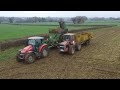 Fodder beet harvest 2020