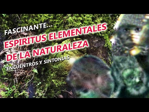 ENCUENTROS Y SINTONIAS... ESPIRITUS ELEMENTALES DE LA NATURALEZA