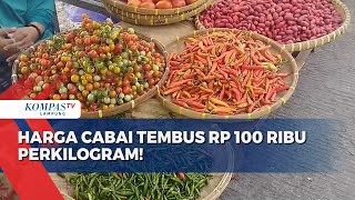 Cabai Tembus Harga Rp100.000 Perkilogram