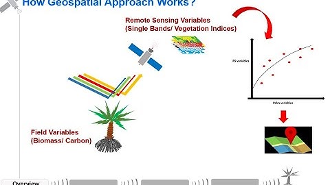 Ph.D. Dissertation: Geospatial Modeling of Carbon Sequestration Assessment Using Remote Sensing/GIS