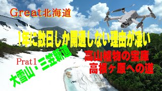 【Great北海道・大雪山・三笠新道】三笠新道Prat1。年に数日しか開通しないルート