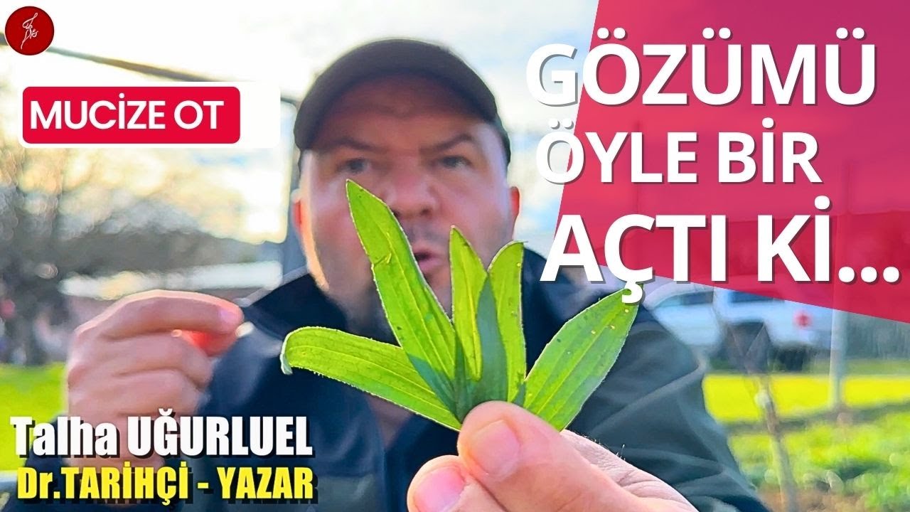 MUCİZE OT / GÖZÜMÜ ÖYLE BİR AÇTI Kİ / DAMAR OTU / SİNİR OTU / Talha Uğurluel