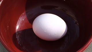 Exploding Peeled Boiled Egg!! Must see!