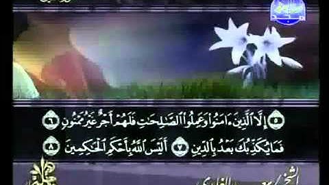 سعد الغامدي | سورة التين