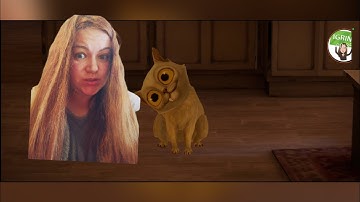 Mysterious Cat Haunted House gameplay walkthrough New game 