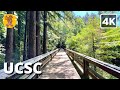 Ucsc campus walking tour  4k  binaural sound