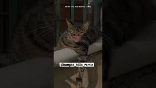 Bagad Billa Ke Samne Tasion Tora Kam