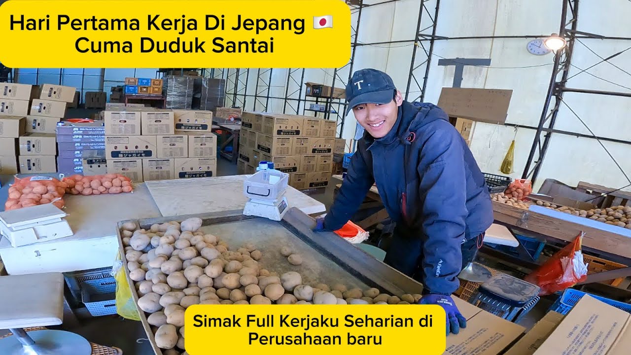 Hari Pertama Kerja Di Jepang !! Ternyata Enak Banget Cuma Duduk 