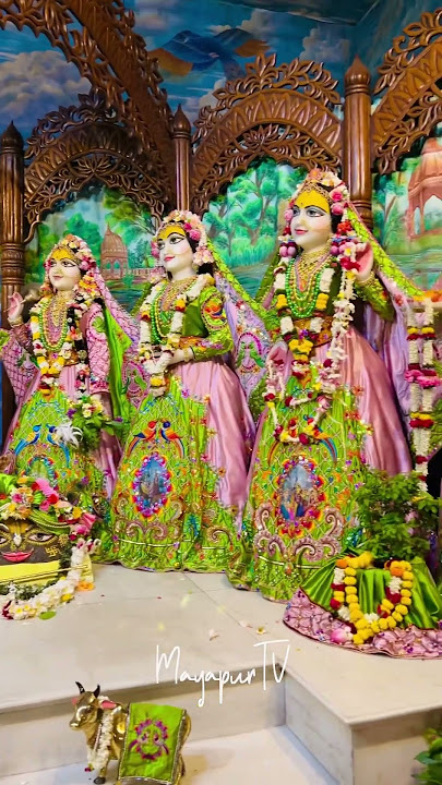Today’s Darshan of Sri Sri Radhamadhava