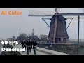 Bollenstreek netherlands 1925  bulb region ai colorized denoised speed corrected 60fps