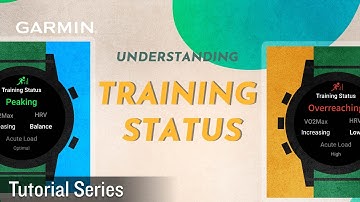 Tutorial - Understanding Training Status