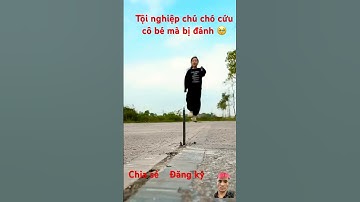 Tội nghiệp chú chó cứu cô bé mà bị đánh 🥹 #dog #doglover #frenchbulldog #shorts