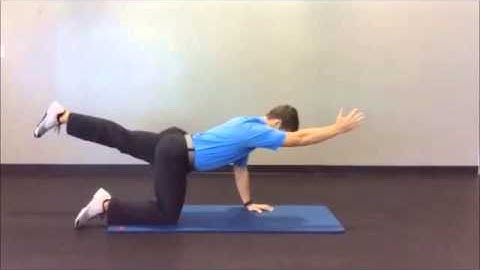 Bird Dog Exercise
