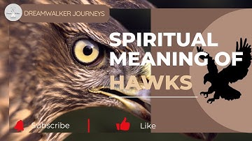 Spiritual Meaning of Hawks