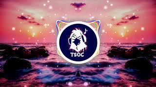 Eiffel 65  - Blue - TSOC Remix