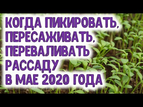 С нетерпением жду агрогороскоп с 15 по 17 мая 2021 года. Скорее бы... - YouTube