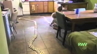 Amazing wins and funny fails