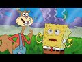 SpongeBob SquarePants No More Squirrel Jokes 
