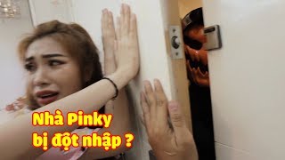 Nhà Pinky Bị Bọn Áo Đen Theo Dõi Và Đột Nhập ? Pinky Honey