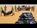 Libye  des corps sans vie retrouvs en plein dsert