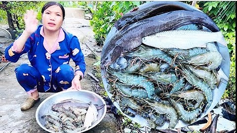 Hôm nay đi chài máy hư mà tôm không được nhiều buồn quá cuộc sống mưu sinh “Hoàng Lê Vlog “