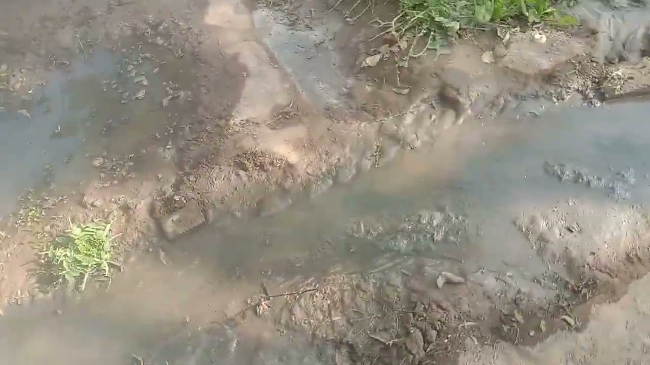 Finally Aaj apni chhoti kheti mein Pani Kar Diya