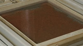 Trout in the Classroom - Trout Eggs-cc