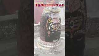 LIVE महाकाल आरती श्रृंगार दर्शन उज्जैन🙏🏻#mahakal status#Shiv Shakti#Mahadev status#special#trending🙏