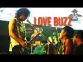 Newaz | Love Buzz (Nirvana Cover) | Live in 2017