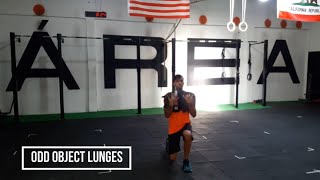 Odd object lunges