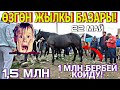 Кулундуу Бээлер| Байтал| Тай баалары 🥳🔥