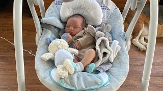 Electric And Battery Operated Automatic Swinging Rocker For Infant Dalia In Australia